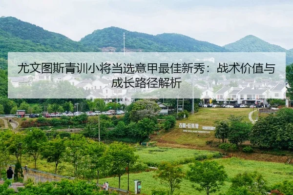 尤文图斯青训小将当选意甲最佳新秀：战术价值与成长路径解析